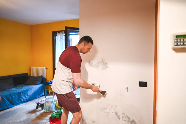Best Black Mold Remediation in Mount Joy, PA